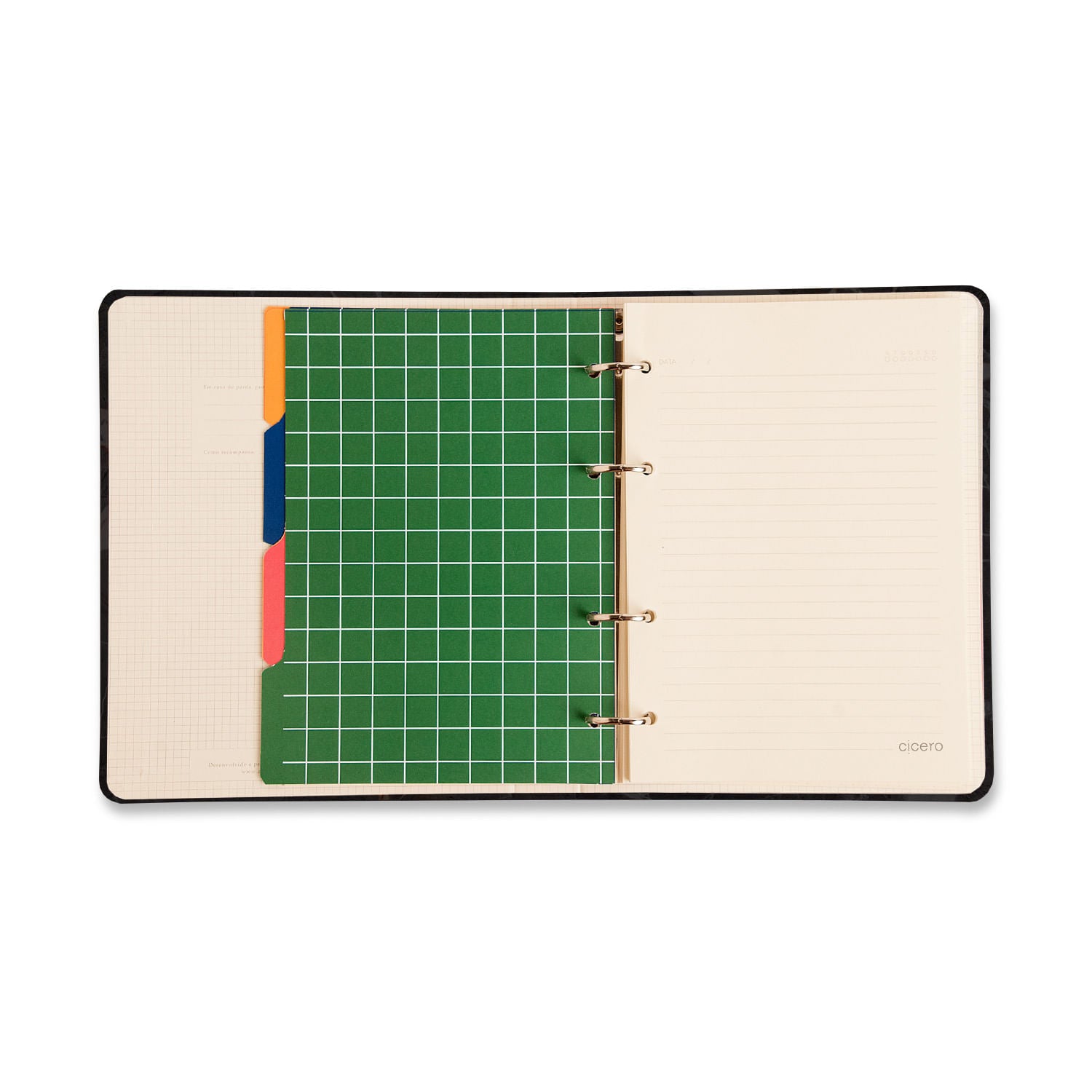 Caderno Criativo Argolado Frutare 80g/m² A5 14,8x21cm Pautado & Pontado - Pomelo - Cícero