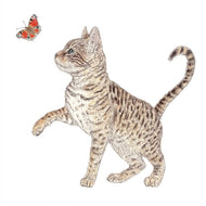 Guardanapo para Decoupage Ppd 33x33cm com 20 Unidades - Gato & Borboleta