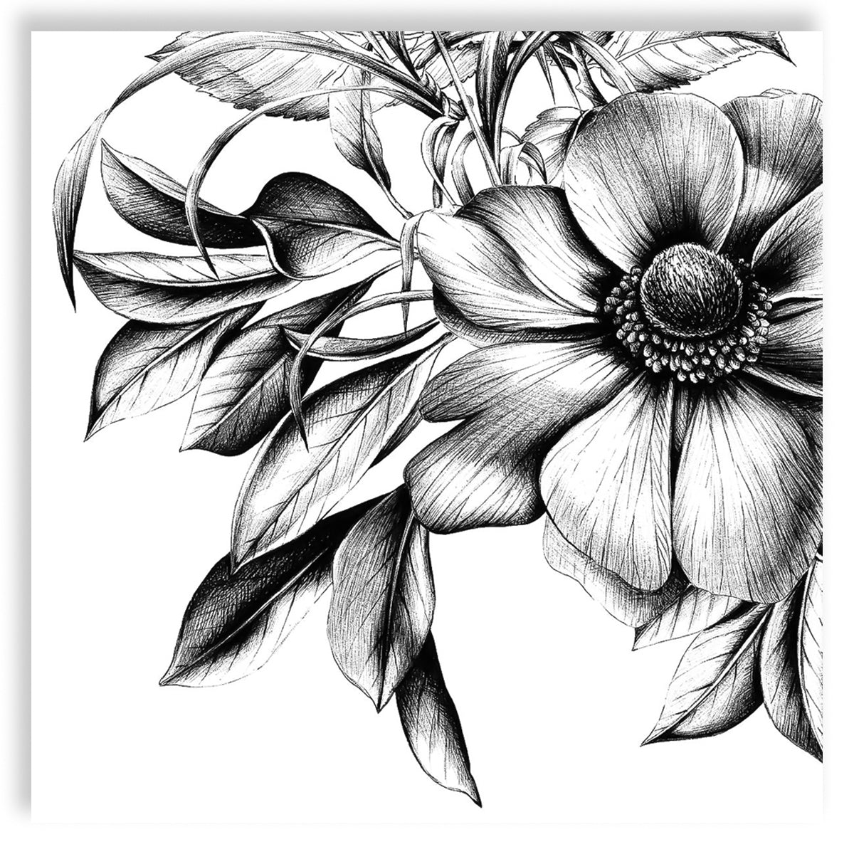 Guardanapo para Decoupage Ppd 33x33cm com 20 Unidades - Flores Preto e Branco