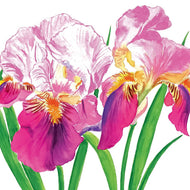 Guardanapo para Decoupage Ppd 33x33cm com 20 Unidades - Flores Orquídeas