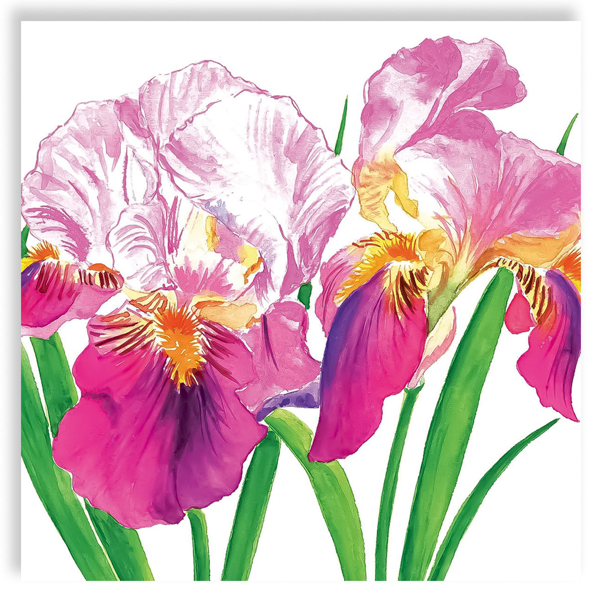 Guardanapo para Decoupage Ppd 33x33cm com 20 Unidades - Flores Orquídeas 
