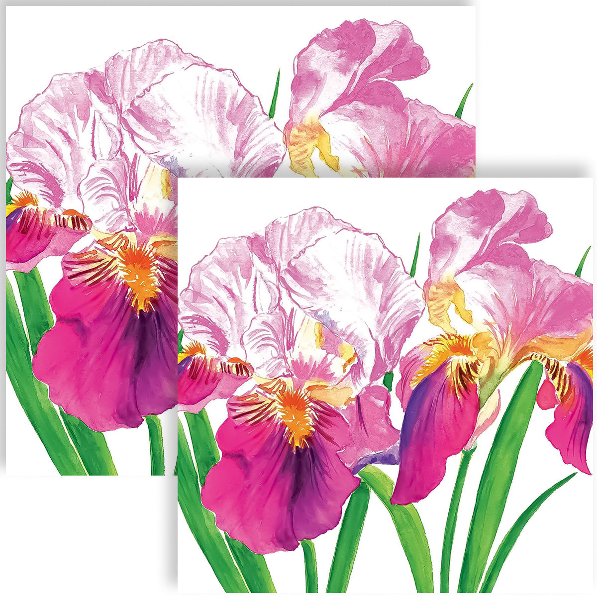 Guardanapo para Decoupage Ppd 33x33cm com 2 Unidades - Flores Orquídeas 