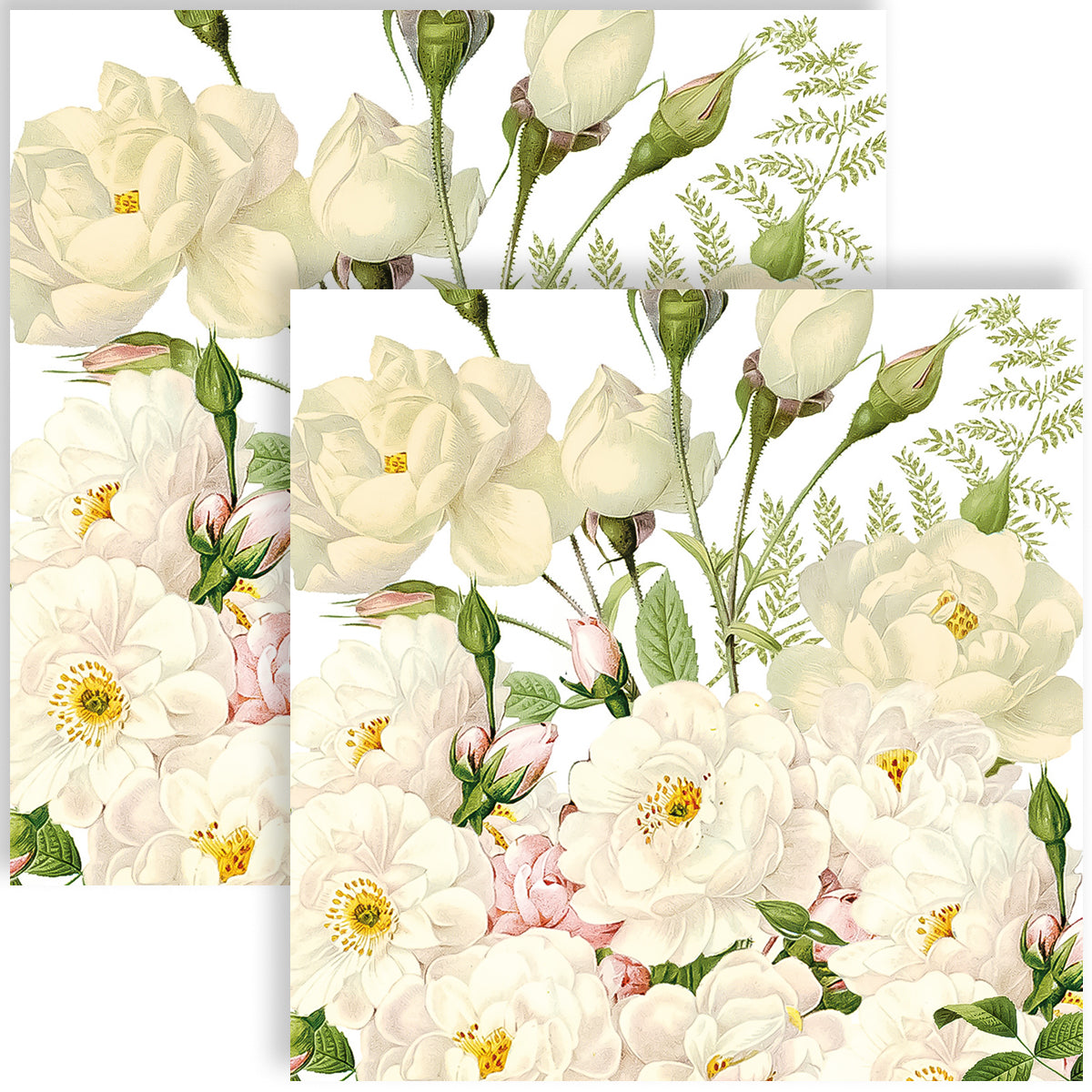 Guardanapo para Decoupage Ppd 33x33cm com 20 Unidades - Rosas Brancas 