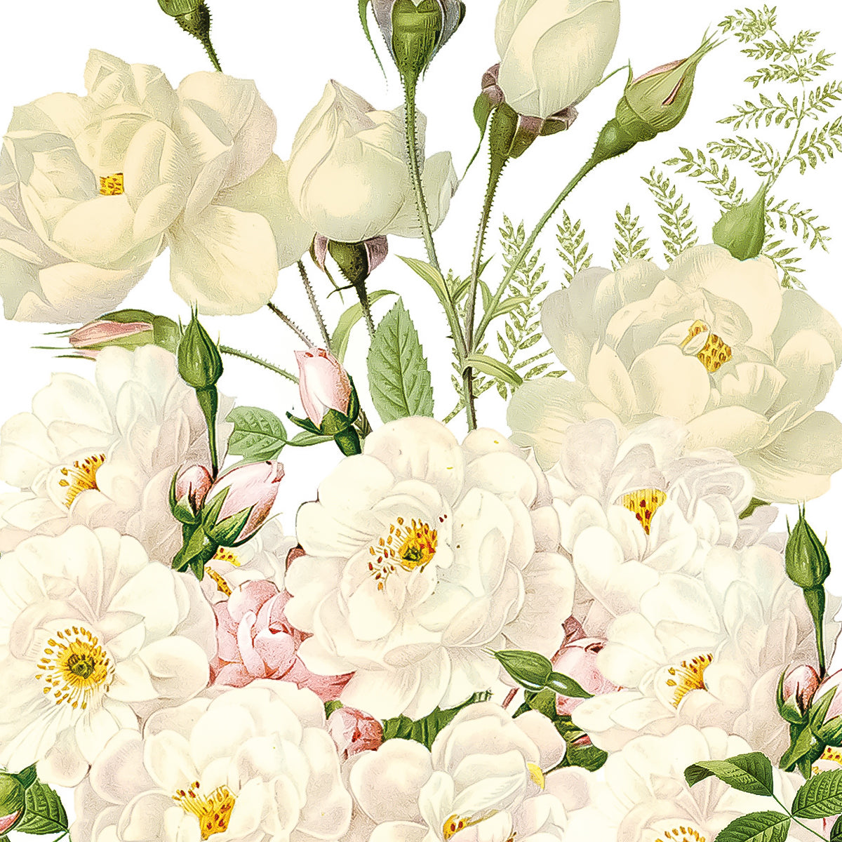 Guardanapo para Decoupage Ppd 33x33cm com 2 Unidades - Rosas Brancas 