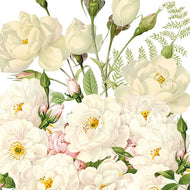 Guardanapo para Decoupage Ppd 33x33cm com 2 Unidades - Rosas Brancas