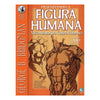 Livro Desenhando a Figura Humana - a Máquina Humana - George B. Bridgman - Criativo