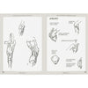 Livro Desenhando a Figura Humana - a Máquina Humana - George B. Bridgman - Criativo