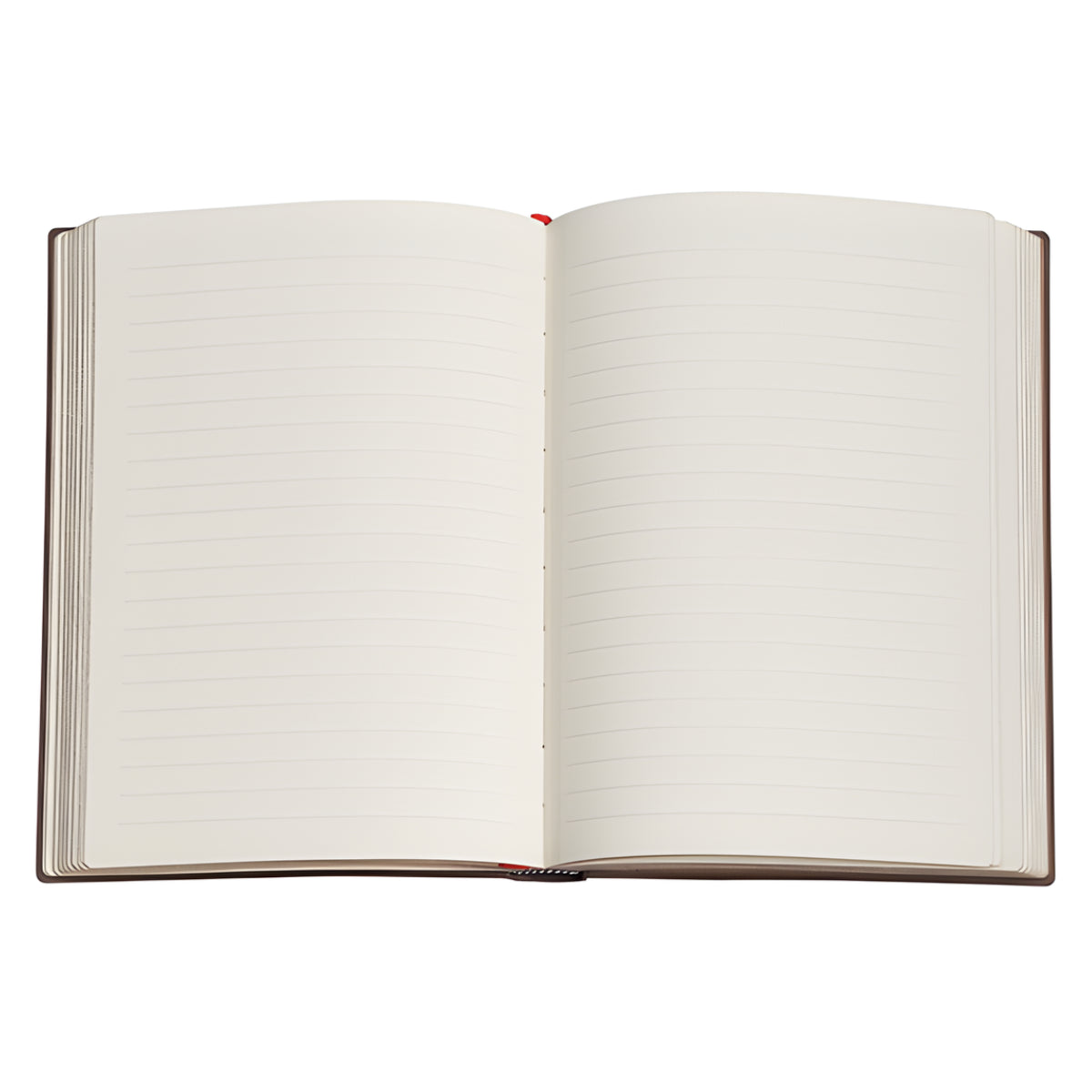 Caderno Paperblanks Wildflower Song Capa Dura Midi 120g 13x18cm 144 Paginas Pautado