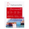 228457-bloco-hahnemuhle-watercolour-cornwall-450g-m2-textura-fina-24x32cm-com-10-folhas-582029