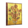 Caderno Pautado Capa Dura Midi Van Gogh, Sunflowers 13x18cm 144 Páginas 120g/m² - Paperblanks