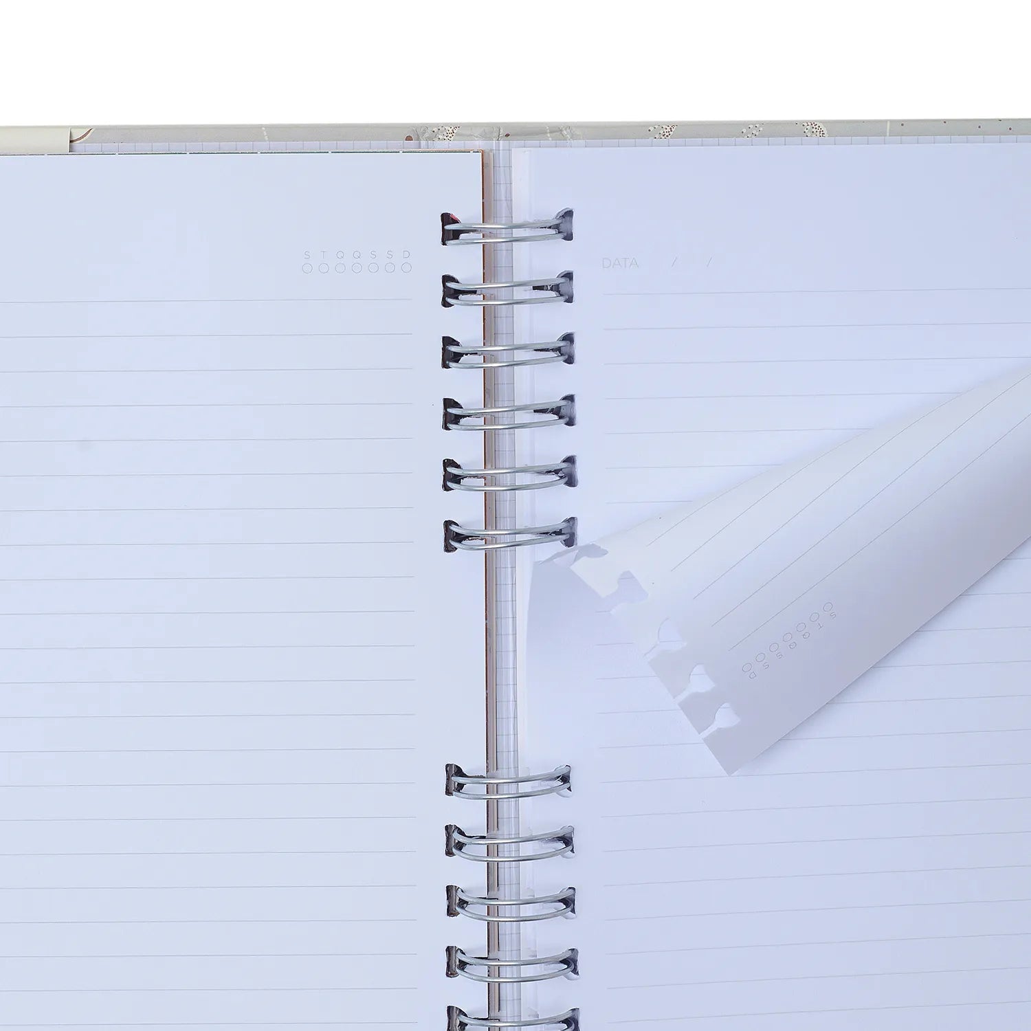 Caderno Organizador Trancoso Pautado e Pontilhado A5 14,8x21cm 80 Folhas 90g/m² Buquê de Sal - Cicero