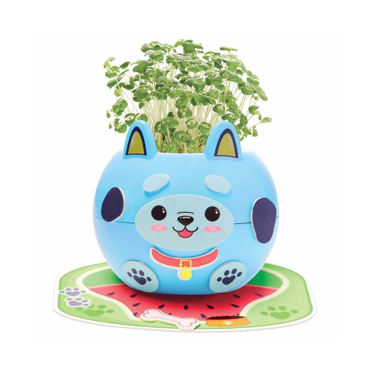 Kit Plant-a-pet Cachorrinho com Sementes de Chia Creativity For Kids 6440900 - Faber-castell