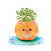 Kit Plant-a-pet Gatinho com Sementes de Chia Creativity For Kids 6439900 - Faber-castell