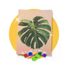 231548-kit-de-pintura-com-diamante-21x30cm-costela-de-adao-tropical-608824