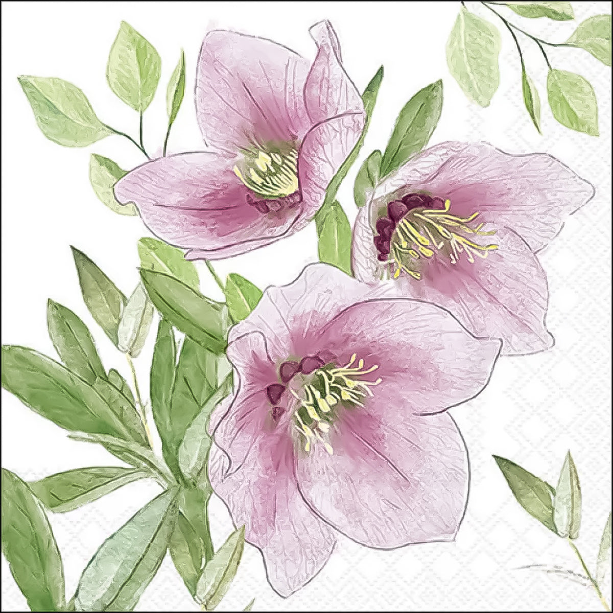 Guardanapo para Decoupage Ambiente 33x33cm com 2 Unidades - Flor Heleboro