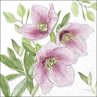 Guardanapo para Decoupage Ambiente 33x33cm com 2 Unidades - Flor Heleboro