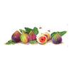 Transfer Têxtil Frutas Figos 10x30cm para Personalização de Tecidos 3826 - Opa