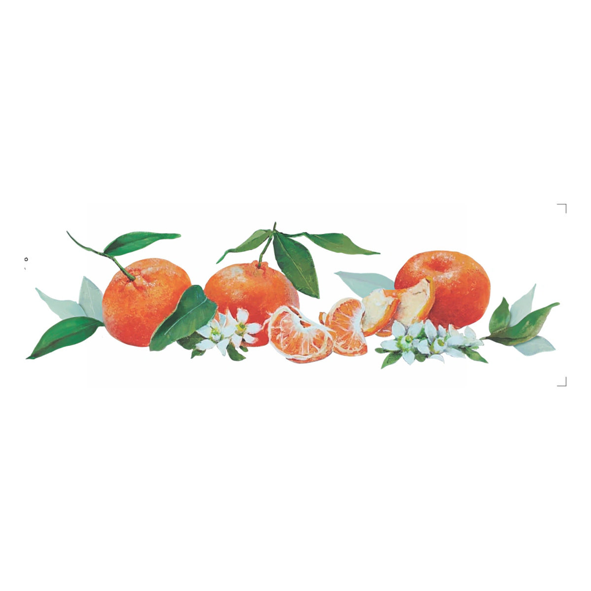 Transfer Têxtil Frutas Ponkans 10x30cm para Personalização de Tecidos 3827 - Opa