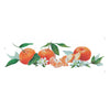 Transfer Têxtil Frutas Ponkans 10x30cm para Personalização de Tecidos 3827 - Opa
