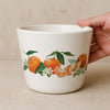 Transfer Têxtil Frutas Ponkans 10x30cm para Personalização de Tecidos 3827 - Opa