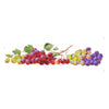 Transfer Têxtil Frutas Uvas 10x30cm para Personalização de Tecidos 3829 - Opa