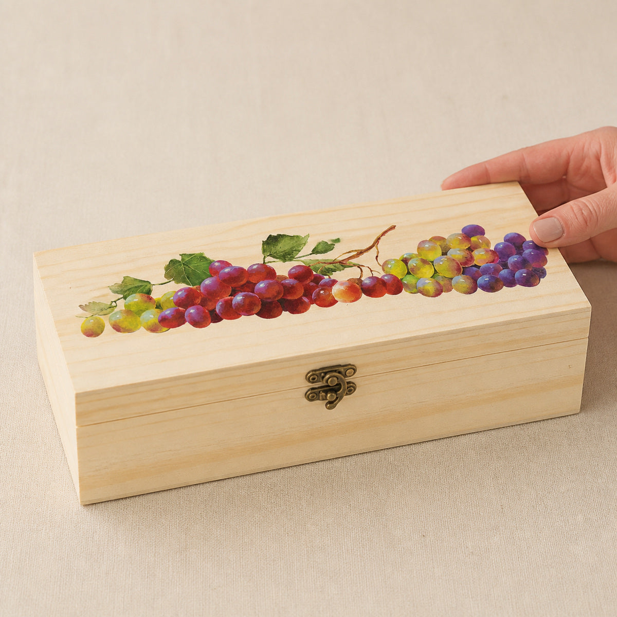 Transfer Têxtil Frutas Uvas 10x30cm para Personalização de Tecidos 3829 - Opa