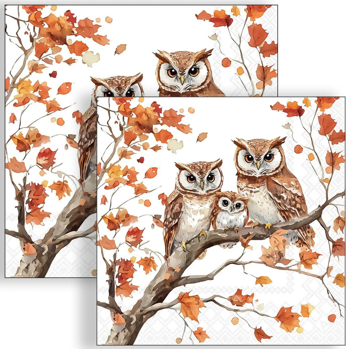 Guardanapo para Decoupage Ambiente 33x33cm com 20 Unidades - Familia de Corujas
