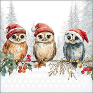 Guardanapo para Decoupage Ambiente 33x33cm com 2 Unidades - Natal Corujas Sabias