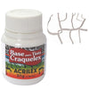 Base para Tinta Acrilex Craquelex 37ml - 20937