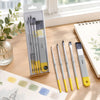 Kit Pincéis para Aquarela com 5 Unidades Bsc350 - Himi