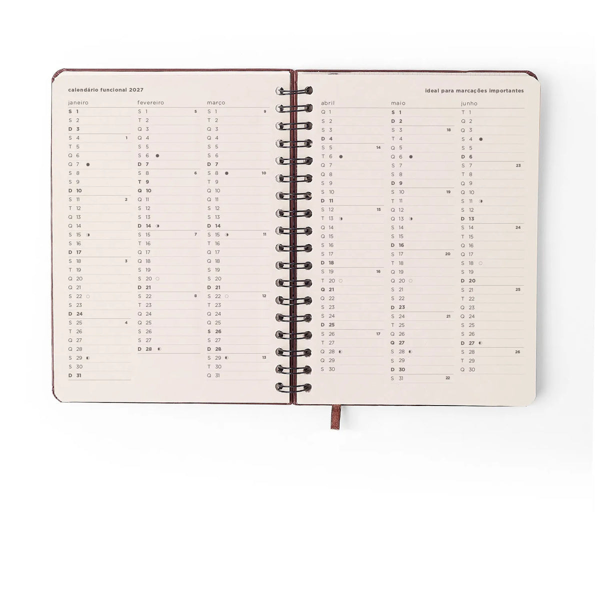Agenda Planner Wire-o 2027 Petit Semanal Lambreta para Planejamento e Organização - Cícero