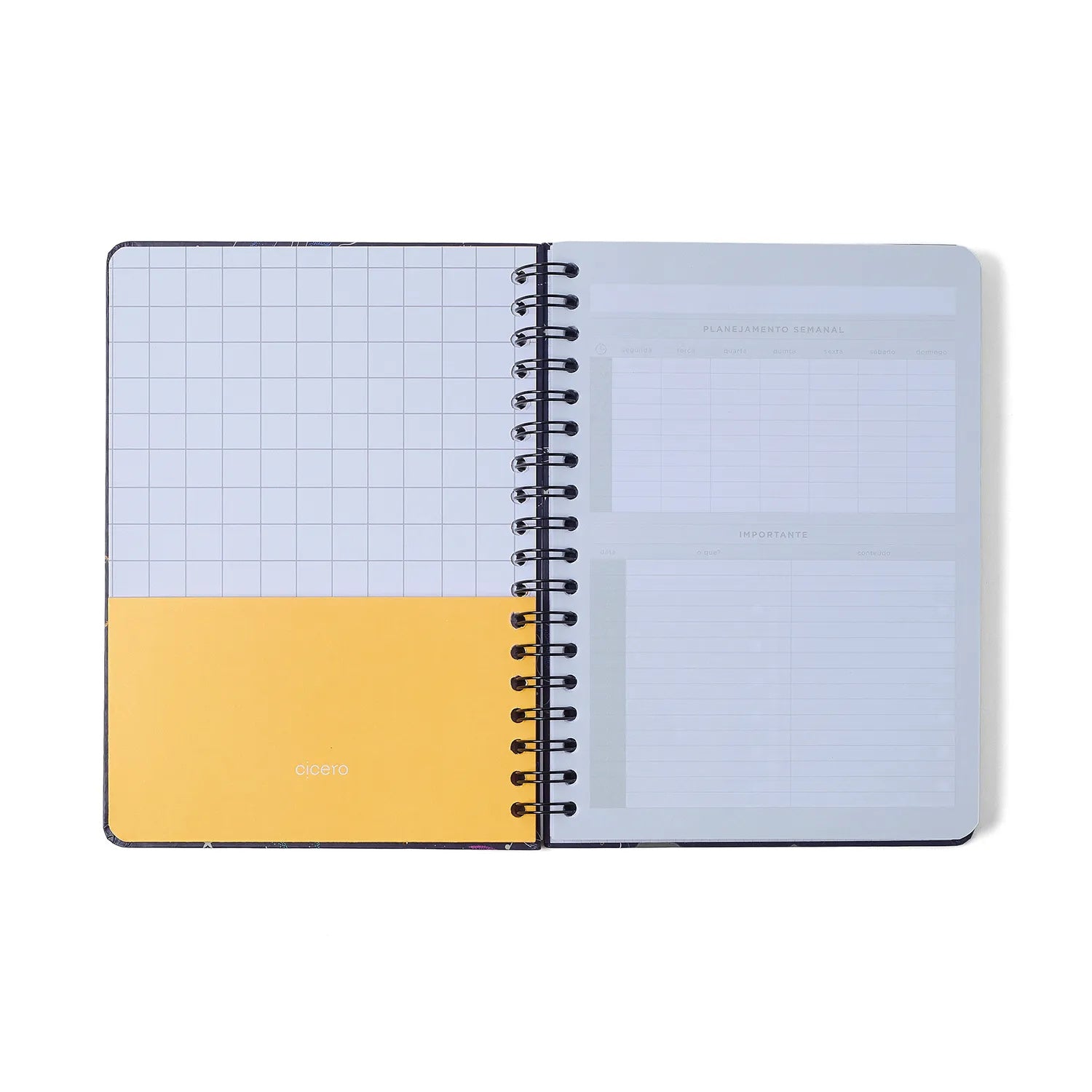 Caderno Espiral Colegial Pautado Petit Passeio 17,3x24cm 63g/m² com 160 Folhas 10 Matérias para Estudos e Anotações - Cícero