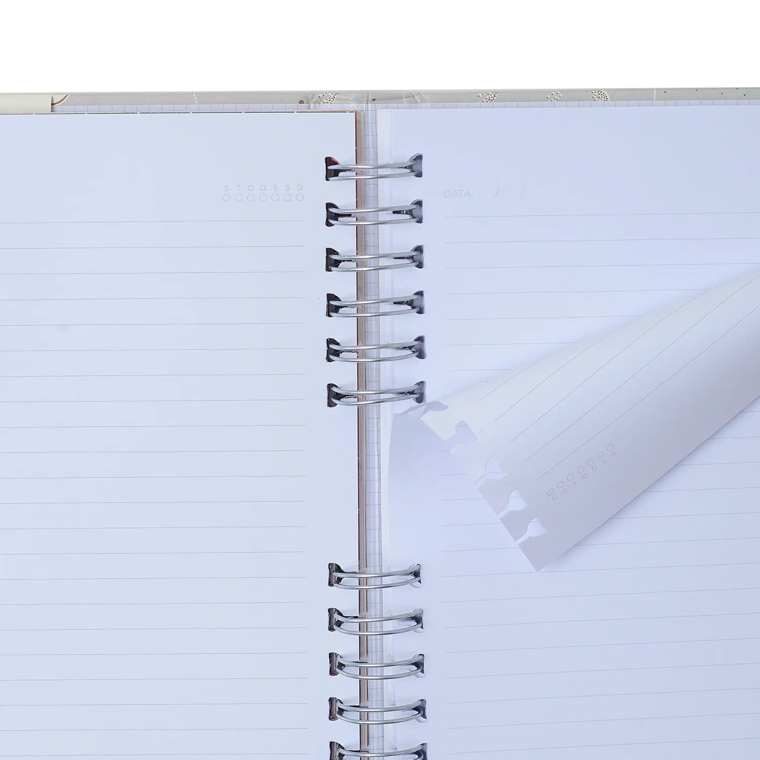 Caderno Organizador Pautado e Pontado Noronha Flora Marinha 14,8x21cm 90g/m² com 80 Folhas para Estudos, Projetos e Organização - Cícero