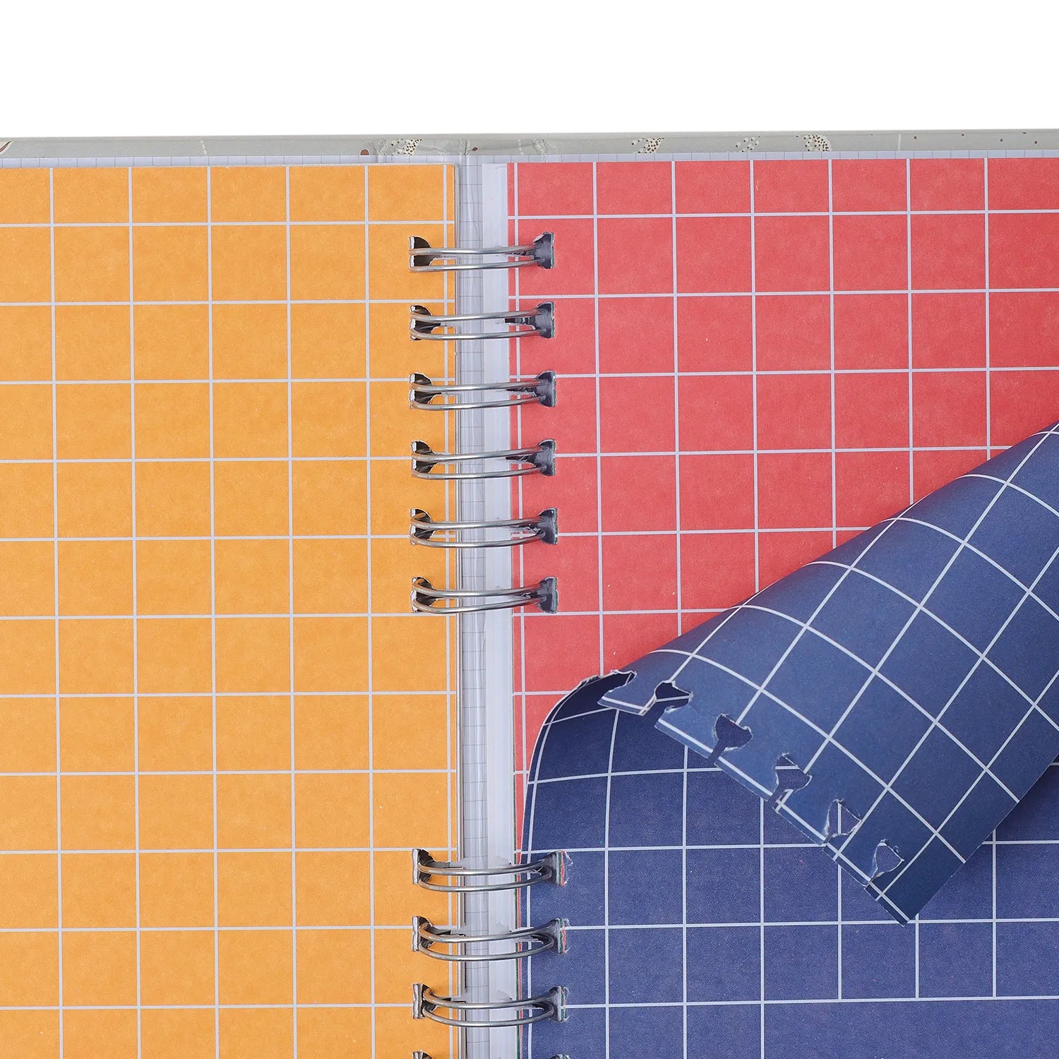Caderno Organizador Pautado e Pontado Noronha Flora Marinha 14,8x21cm 90g/m² com 80 Folhas para Estudos, Projetos e Organização - Cícero