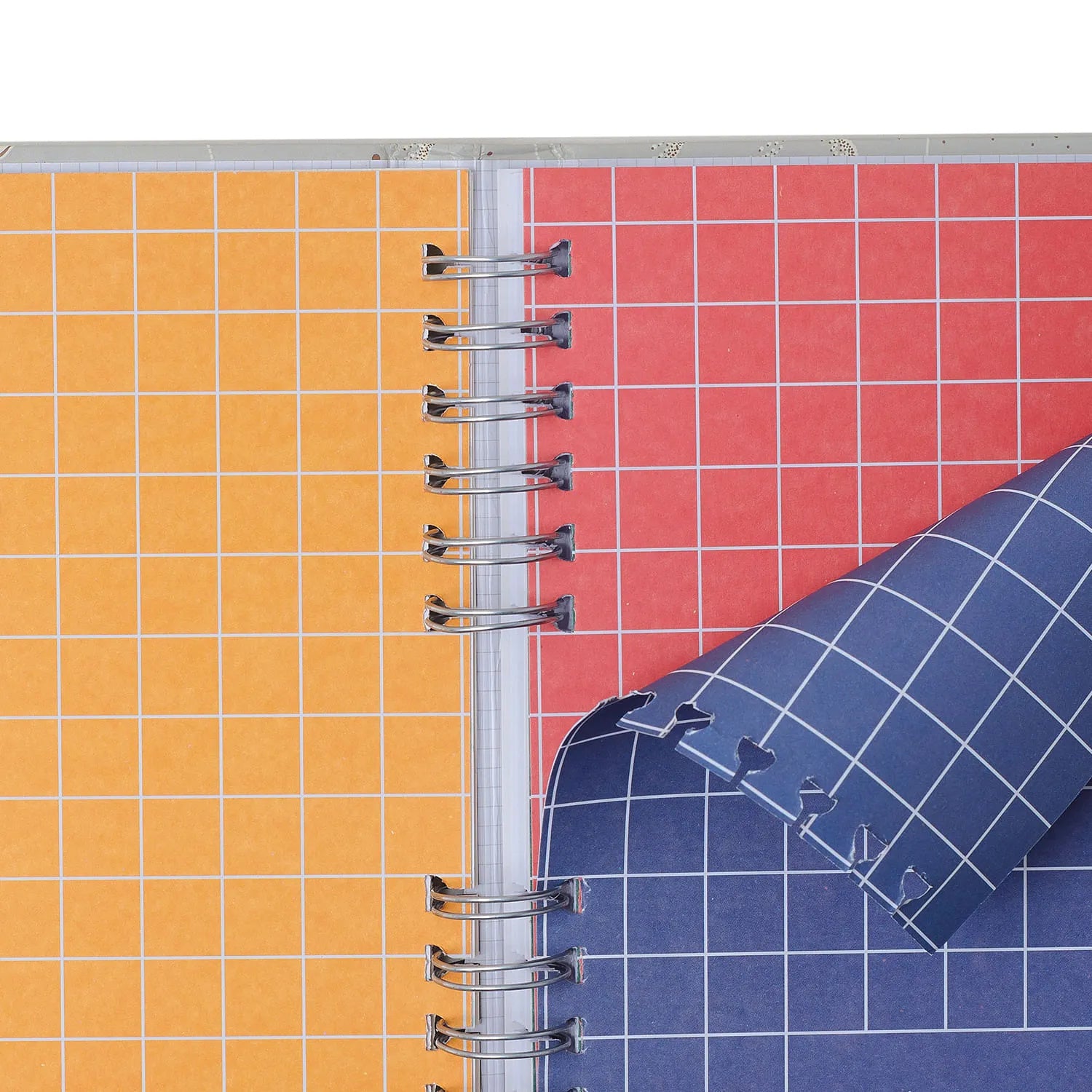 Caderno Organizador Pautado e Pontado Haras Alazão 14,8x21cm 90g/m² com 80 Folhas para Estudos, Projetos e Organização - Cícero