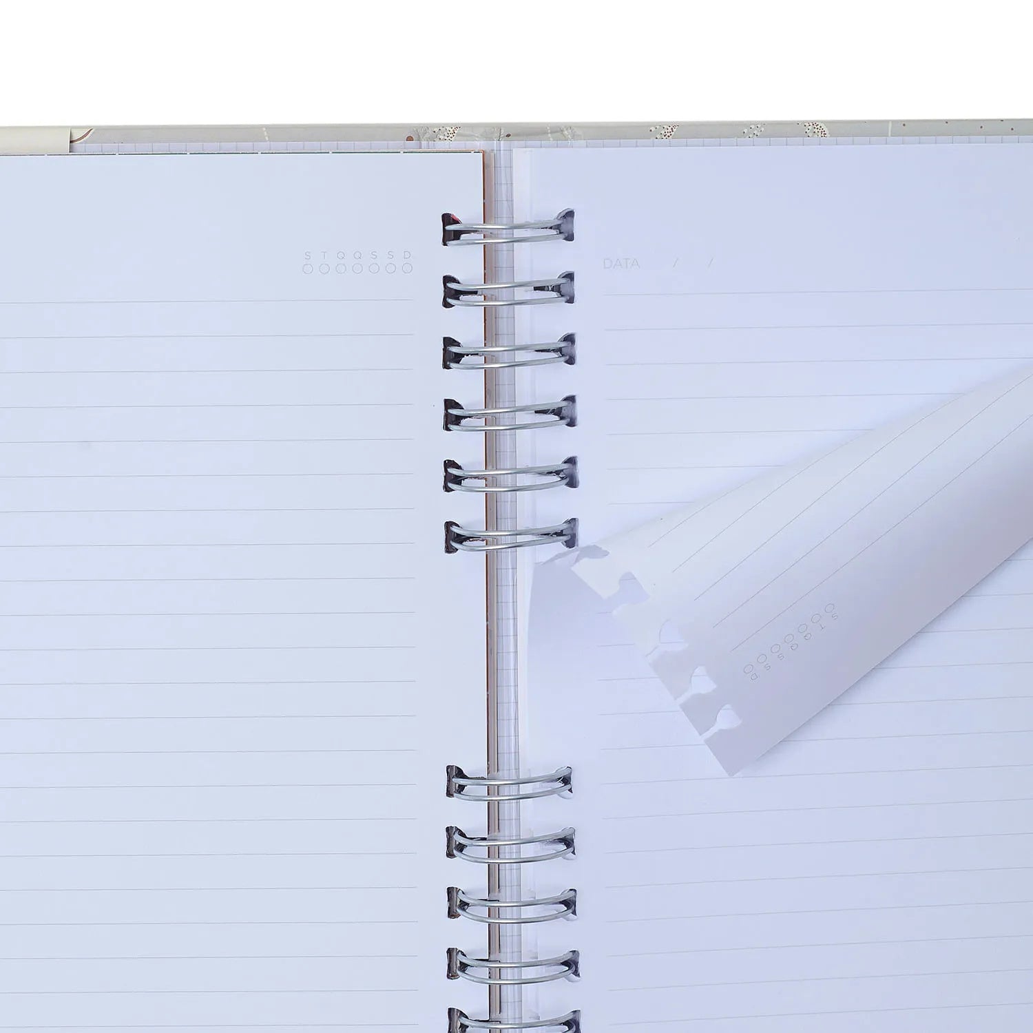 Caderno Organizador Pautado e Pontado Veredas Gelo 14,8x21cm 90g/m² com 80 Folhas para Estudos, Projetos e Organização - Cícero