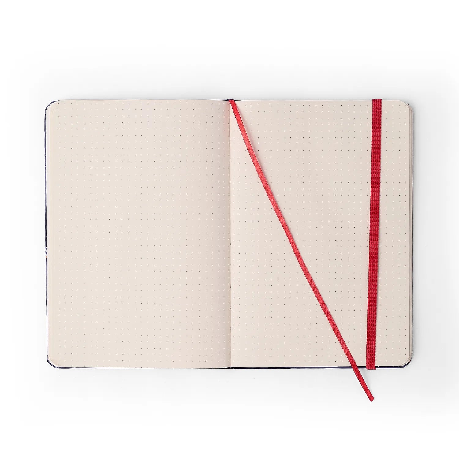 Caderneta Pontada Petit Amor 14x21cm 80g/m² com 160 Páginas para Bullet Journal e Organização - Cícero
