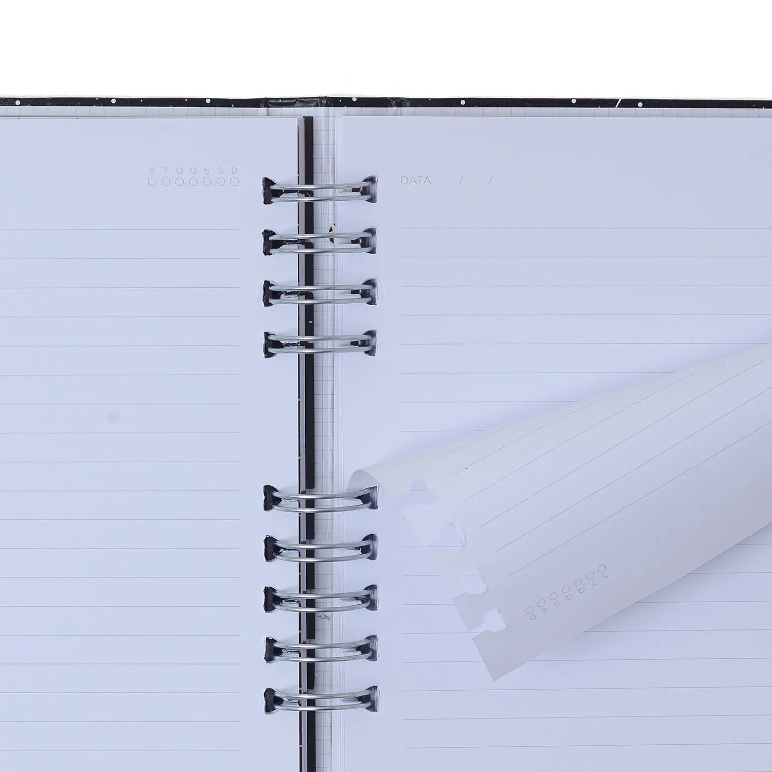Caderno Organizador Pautado e Pontado Noronha Pérola do Mar 17x24cm 90g/m² com 90 Folhas para Estudos, Projetos e Organização - Cícero