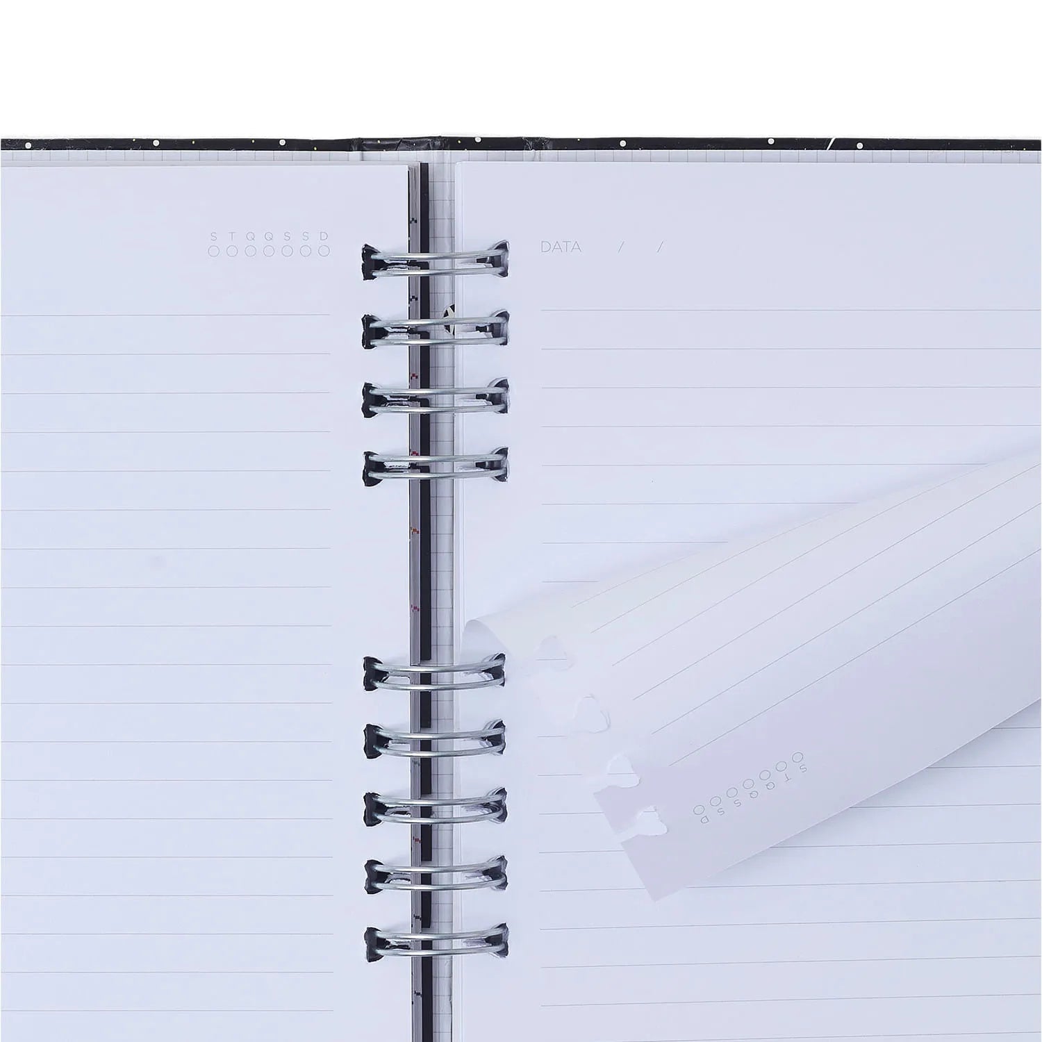 Caderno Organizador Pautado e Pontado Haras Selaria Preto 17x24cm 90g/m² com 90 Folhas para Estudos, Projetos e Organização - Cícero