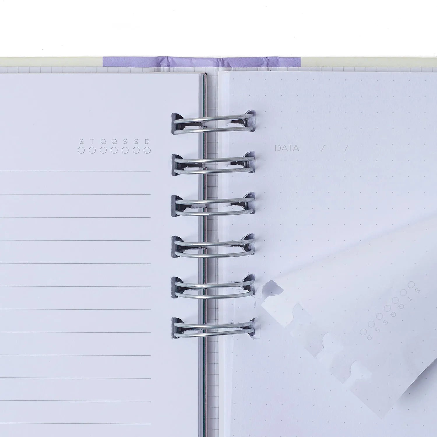 Caderno Organizador Pautado e Pontado Melissa Mini Bloomy Chocola 14,8x21cm 90g/m² com 80 Folhas para Estudos, Projetos e Organização - Cícero