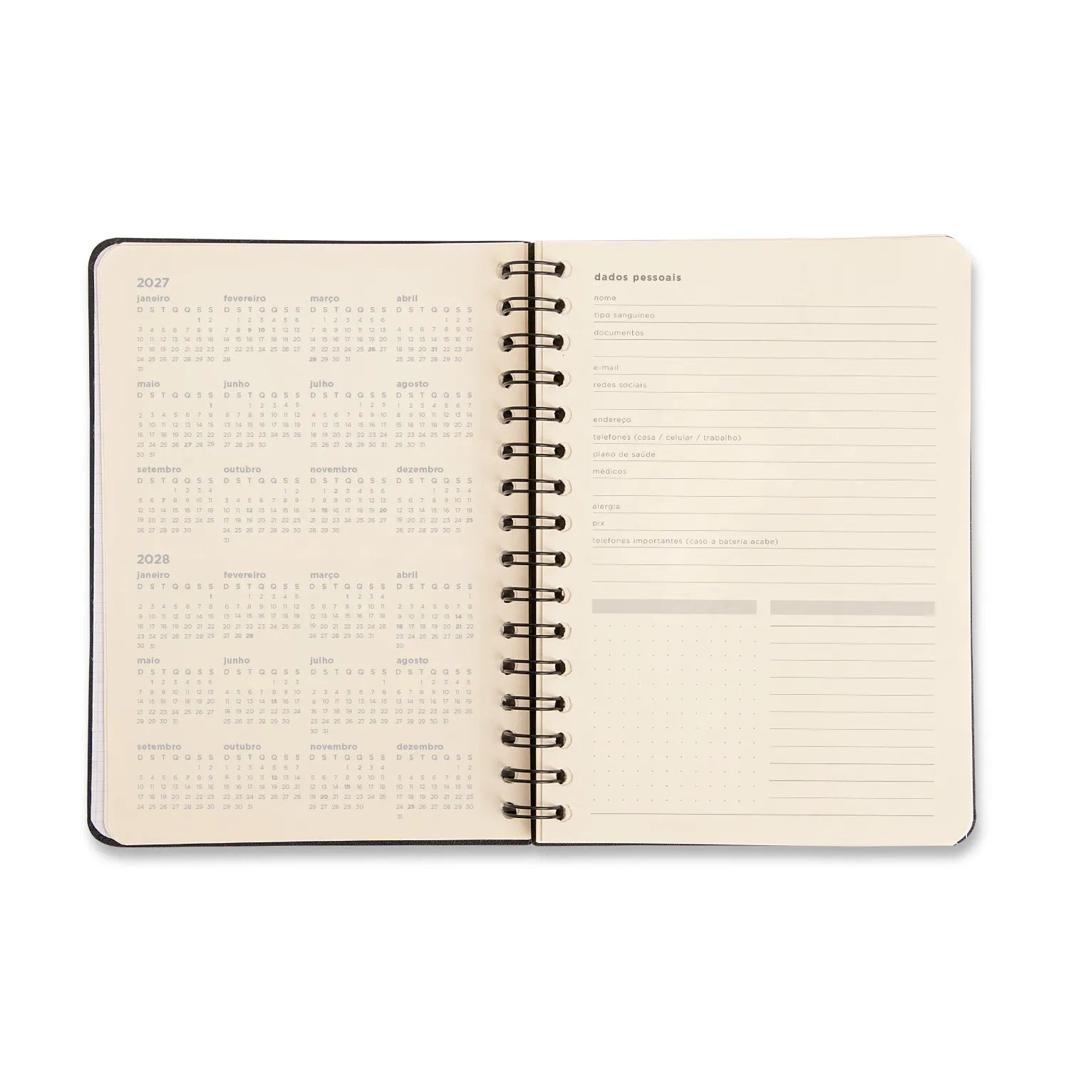 Planner Permanente Financeiro Wire-o Petit Lambreta A5 80g/m² com 64 Páginas para Planejamento e Controle Financeiro - Cícero