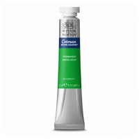 VERDE PERMANENTE CLARO - 483
