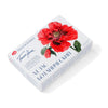 Kit de Tinta Aquarela White Nights Botanical Atlas 12 Cores em Pastilhas 2,5ml - Nevskaya Palitra