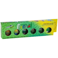 Kit Escolar Glitter Brocal 3g com 6 Cores