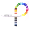 Pigment Marker Winsor & Newton com 6 Tons Vibrantes