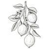 Livro a Arte de Desenhar - Frutas - Renato Silva - Criativo
