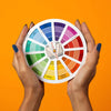 Círculo Cromático de Cores Sinoart Pequeno Color Wheel 7/13