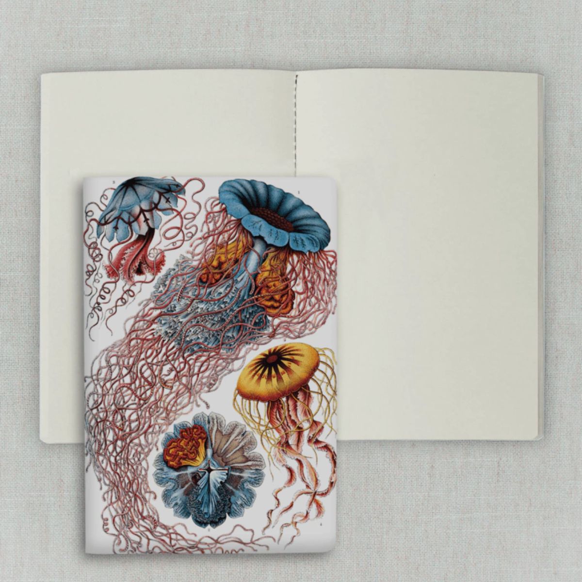 Caderno Journal Folk Books 13,5x9 sem Pauta Medusas 