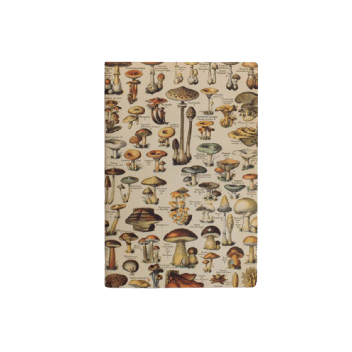 Caderno Journal Folk Books sem Pauta 20x13,5 Cogumelos