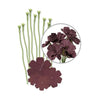 Kit para Fazer Flores Marrom 642674 - We R Memory Keepers